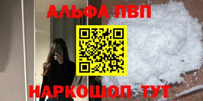 спиды Кингисепп