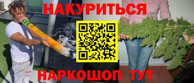 спиды Кингисепп