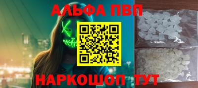 спиды Кингисепп