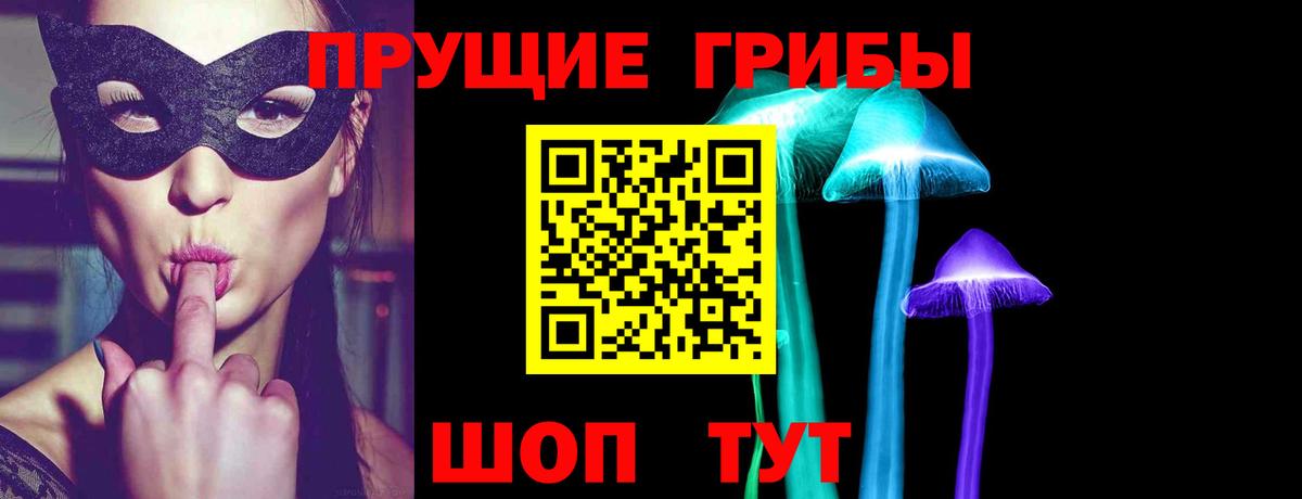 Шебекино  Псилоцибиновые грибы мухоморы  Вход с VPN 